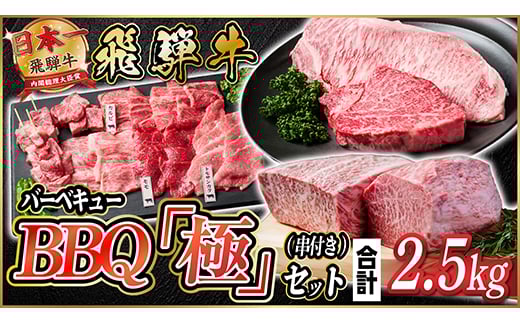 飛騨牛　BBQ「極」セット(串付き)約2.5kg(味つけ用タレ・つけタレ・ローストビーフソース付き)【1534612】 1434425 - 岐阜県羽島市