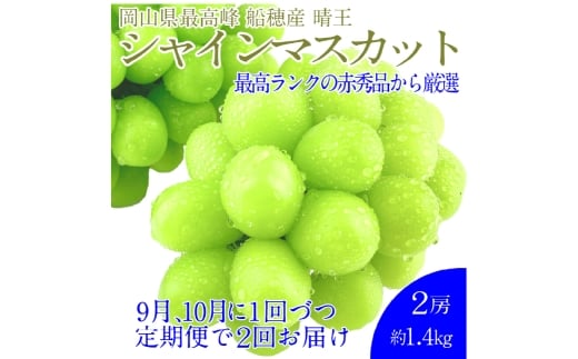  【2回定期便】プレミアム シャインマスカット 晴王 2房約1.4kg 2回 定期便 9月・10月に1回ずつお届け 種無し  皮ごと食べる  フレッシュ  旬の美味しさ【シャインマスカット マスカット ぶどう 葡萄 岡山県産   種無し 皮ごと食べる みずみずしい 9月～10月お届け フレッシュ 晴れの国おかやま 果物大国 贈答品 彩美菜果 岡山県 倉敷市 おすすめ 人気 】 1594860 - 岡山県倉敷市