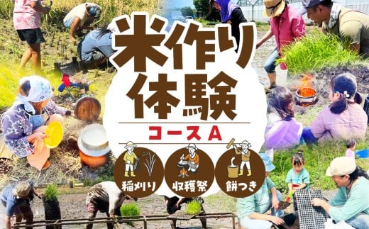 【体験コースA】米作り体験 選べる 4コース もち 餅 米作り 手作業 無農薬 体験 お米 米 親子 イベント 自然 自然体験