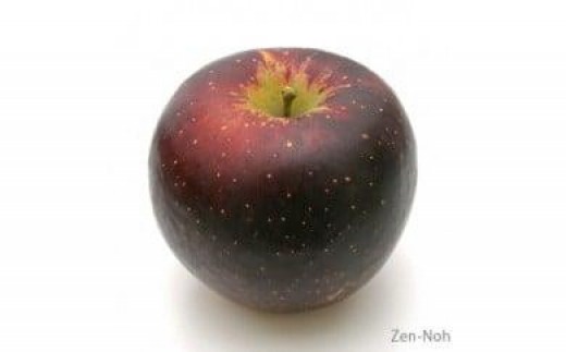 季節のりんご『秋映』（５ｋｇ）（予約制）（りんご 林檎 フルーツ ビタミン 果物 くだもの 食品 人気 上伊那 宮田村 長野 信州 甘い 新鮮 人気 ギフト 贈答 プレゼント 贈り物 特産品） 393720 - 長野県宮田村