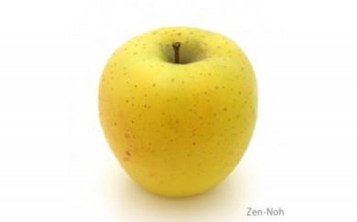 季節のりんご『シナノゴールド』（５ｋｇ）（予約制）（りんご 林檎 フルーツ ビタミン 果物 くだもの 上伊那 宮田村 長野 信州 甘い 新鮮 人気 ギフト 贈答 お祝い プレゼント 贈り物 特産品） 393722 - 長野県宮田村