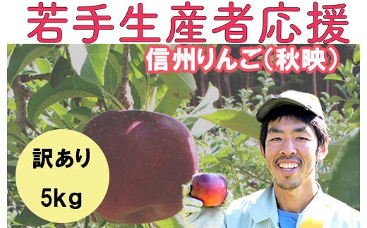 若手生産者応援 りんご (秋映) 訳あり 5kg 数量限定 先行予約 川上啓介 果物 フルーツ 家庭用 長野県 麻績村 麻績 信州