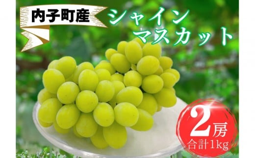 内子町産　シャインマスカット　秀品　2房　1.0kg 2176933 - 愛媛県内子町