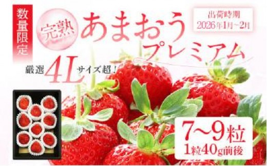 あまおうプレミアム　※2026年1月～2月頃発送予定　BD02