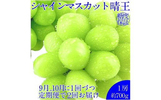 【2回定期便】シャインマスカット 晴王 １房 約700g ２回 定期便 9月・10月に1回ずつ発送 岡山県産 種無し 皮ごと食べる みずみずしい 甘い フレッシュ【岡山県産 種無し 皮ごと食べる みずみずしい 甘い フレッシュ 9月～10月発送 晴れの国 おかやま ぶどう 葡萄 マスカット 果物大国 彩美菜果 岡山県 倉敷市 おすすめ 人気】 1594841 - 岡山県倉敷市