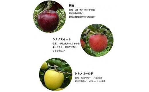 季節のりんご『お任せコース』（５ｋｇ）（予約制）（りんご 林檎 フルーツ ビタミン 果物 くだもの 上伊那 宮田村 長野 信州 甘い 新鮮 人気 ギフト 贈答  特産品） 393349 - 長野県宮田村