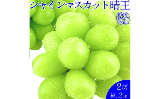 シャインマスカット 晴王 2房 約1.2kg 種無し  皮ごと食べる  フレッシュ  旬の美味しさ【2025年9月上旬-10月下旬 発送予定】【岡山県産 種無し 皮ごと食べる みずみずしい 甘い フレッシュ 9月～10月発送 晴れの国 おかやま ぶどう 葡萄 マスカット 果物大国 彩美菜果  岡山県 倉敷市 おすすめ 人気】 1594835 - 岡山県倉敷市