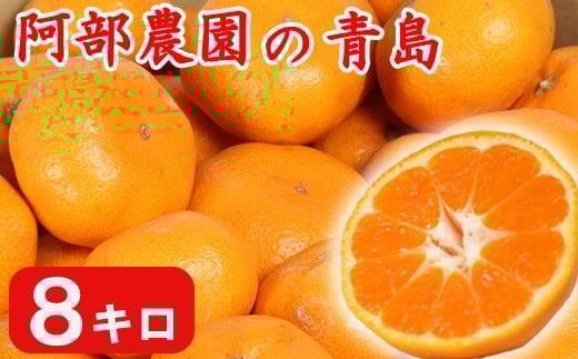 【訳あり品】阿部農園の「青島 約8kg」 ／ ミカン みかん 蜜柑 柑橘類 糖度 訳あり 1月 先行予約 甘い 温州みかん フルーツ ＜112-003＞ 345309 - 大分県杵築市