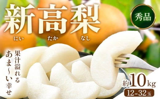 新高梨 約10kg (12〜32玉) 日本フルーツ株式会社《2025年9月上旬-10月末出荷》熊本県 長洲町 新高梨 梨 果物 フルーツ スイーツ デザート ギフト ご贈答