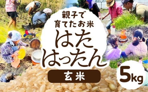 【玄米5kg】お米 選べる 2kg 5kg 白米 玄米 お米 米 コメ こめ ご飯