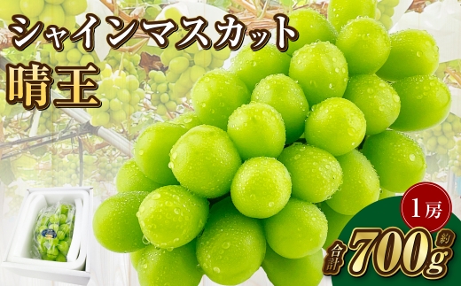 岡山県産 シャインマスカット 晴王 1房 約700g【2025年9月上旬-10月下旬 発送予定】｜種無し 皮ごと食べる フレッシュ 先行予約 ハレノフルーツ 1521038 - 岡山県倉敷市
