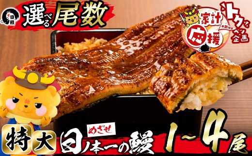 [家計応援][肝串3本付き!][尾数が選べる!]うなぎ生産量日本一の鹿児島県産!日ノ本一の鰻の蒲焼き[特大]1尾〜4尾!うなぎ 鰻 ウナギ 1尾 2尾 3尾 4尾 蒲焼き かばやき 冷凍 うな重 ひつまぶし タレ 山椒