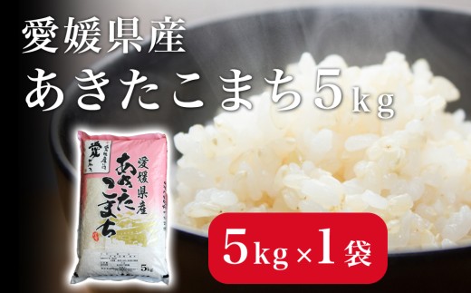 米 こめ お米 おこめ あきたこまち 5kg 白米 ごはん 四国中央市 愛媛県 おいしい ふっくら 【四国中央市 紙のまち 日本一】
