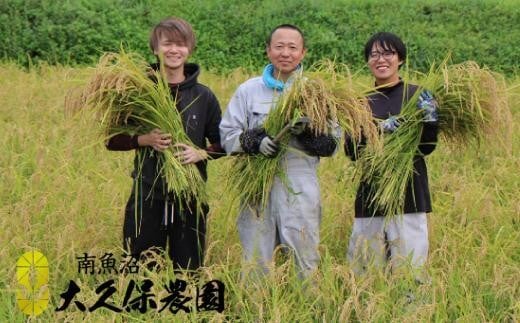 【令和７年産新米予約】【１２ヶ月定期便】南魚沼産コシヒカリ　八富米　農薬7割減の特別栽培米　無洗米５ｋｇ×全１２回【2025年10月中旬より順次発送予定】