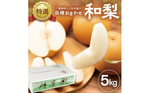 SB0720　酒田産【特選】 和梨 約5kg (9～16玉入) 品種おまかせ : 晩生種 あきづき梨 南水梨 新興梨 大天梨 甘太 王秋