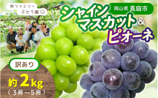 【訳あり】岡山県産 林ファミリーのシャインマスカット&ピオーネ 約2kg（約3～5房） 【2025年先行予約】/ 岡山 真庭 食べ比べ シャインマスカット ピオーネ 葡萄 ぶどう ブドウ 果物 フルーツ 新鮮 濃厚 人気 数量限定 お買い得 家庭用 たっぷり ぶどう専門  (2025年9月上旬～発送予定)