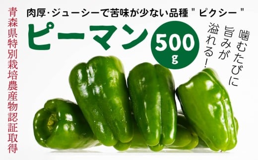 【青森県特別栽培】ピーマン 500g ピクシー 【8月上旬～10月前半発送】