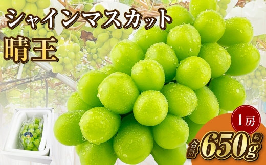 岡山県産 シャインマスカット 晴王 1房 約650g【2025年9月上旬-10月下旬 発送予定】｜種無し 皮ごと食べる フレッシュ 先行予約 ハレノフルーツ 1521037 - 岡山県倉敷市