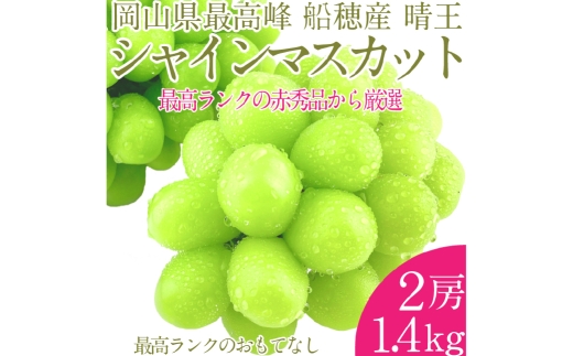  プレミアム シャインマスカット 晴王 2房 約1.4kg 種無し  皮ごと食べる  フレッシュ  旬の美味しさ【2025年9月上旬-10月下旬 発送予定】【シャインマスカット マスカット ぶどう 葡萄 岡山県産   種無し 皮ごと食べる みずみずしい 9月～10月お届け フレッシュ 晴れの国おかやま 果物大国 贈答品 彩美菜果 岡山県 倉敷市 おすすめ 人気 】 1594856 - 岡山県倉敷市