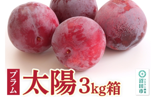 《8月中旬～8月下旬発送》プラム「太陽」3kg箱