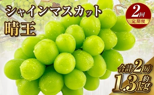 【定期便 全2回／2025年9・10月発送】 岡山県産シャインマスカット 晴王 1房 約650g ｜2回定期便 9月・10月に１回づつお届け 種無し 皮ごと食べる 旬の美味しさ フレッシュ 先行予約 ハレノフルーツ 1521046 - 岡山県倉敷市