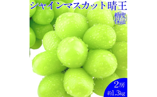 シャインマスカット 晴王 2房 約1.3kg 種無し  皮ごと食べる  フレッシュ  旬の美味しさ【2025年9月上旬-10月下旬 発送予定】【岡山県産 種無し 皮ごと食べる みずみずしい 甘い フレッシュ 9月～10月発送 晴れの国 おかやま ぶどう 葡萄 マスカット 果物大国 彩美菜果 岡山県 倉敷市 おすすめ 人気】 1594836 - 岡山県倉敷市