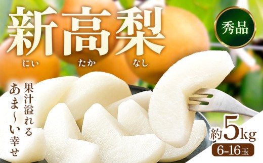 新高梨 約5kg（6～16玉） 日本フルーツ株式会社《2025年9月上旬-10月末出荷》熊本県 長洲町 新高梨 梨 果物 フルーツ スイーツ デザート ギフト ご贈答