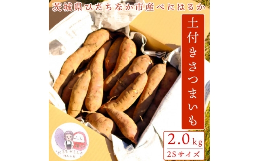<先行受付>11月下旬より発送!茨城県 ひたちなか産 さつまいも 紅はるか 箱込2kg<訳あり>【1631630】 2172076 - 茨城県ひたちなか市