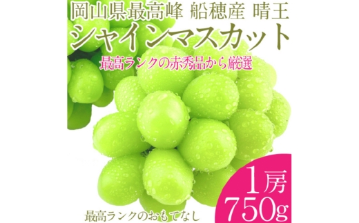  プレミアム シャインマスカット 晴王 1房 約750g 種無し  皮ごと食べる  フレッシュ  旬の美味しさ 【2025年9月上旬-10月下旬 発送予定】【シャインマスカット マスカット ぶどう 葡萄 岡山県産   種無し 皮ごと食べる みずみずしい 9月～10月お届け フレッシュ 晴れの国おかやま 果物大国 贈答品 彩美菜果 岡山県 倉敷市 おすすめ 人気 】 1594853 - 岡山県倉敷市