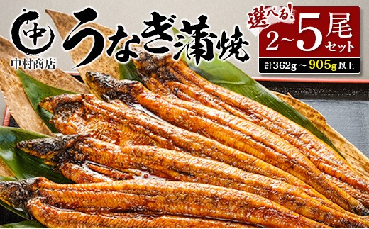 中村商店 うなぎ蒲焼セット 2尾〜5尾(計362g以上〜905g以上)特製たれ・お吸い物付