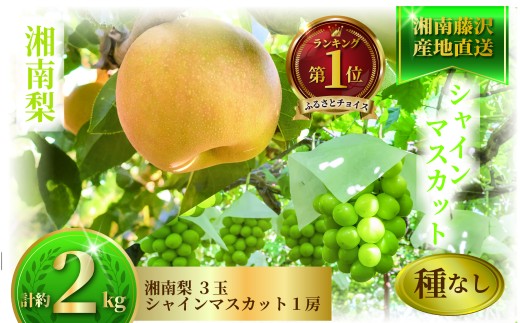 【先行予約】 2026年9月発送 シャインマスカット 梨 2kg セット 詰め合わせ なし ぶどう フルーツ 果物 豊水 あきづき ブドウ マスカット 湘南梨 旬 粒 糖度 ジュース ボンボン 緑 年 日 ふるさと お取り寄せ 贈り物 ギフト 神山果樹園 神奈川 湘南 藤沢