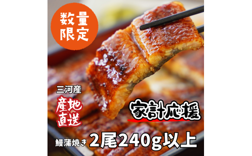 【通常発送】生産者｢愛知養魚｣がお届けする三河産うなぎ「蒲焼冷凍2尾」(合計240g～250g) ≪冷凍≫ 鰻 ウナギ 国産うなぎ 蒲焼き 愛知県 西尾市 たれ付き 海鮮 惣菜生産者｢愛知養魚｣がお届け 丑の日 土用の丑の日 ・A092-12