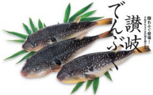 ふぐ 讃岐でんぶく 1kg 切り身 香川県産 天然 フグ ナシフグ トラフグ に負けない 香川県 丸亀市
