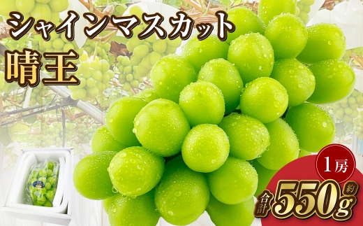 岡山県産 シャインマスカット 晴王 1房 約550g【2025年9月上旬-10月下旬 発送予定】｜種無し 皮ごと食べる フレッシュ 先行受付 ハレノフルーツ 1521035 - 岡山県倉敷市
