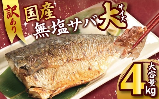 訳あり 国産 無塩さば フィーレ 4kg 大サイズ 1枚170g さば 鯖 魚 海鮮 魚介類 シーフード フィレ 切身 切り身 無塩 不揃い 規格外 傷 冷凍 食品 小分け おかず 惣菜 おつまみ 弁当 人気 グルメ お取り寄せ 贈り物 贈答 ギフト プレゼント 長期保存 ふるさと納税 ふるさと納税サバ 送料無料 11000 11000円 千葉県 銚子市 大國屋