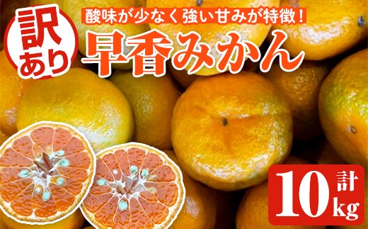 ＜先行予約受付中！2025年12月下旬以降順次発送予定＞訳あり早香みかん(計10kg) 国産 フルーツ 果物 蜜柑 柑橘 みかん 訳あり【松永青果】akn053-43