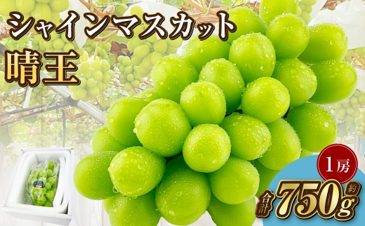 岡山県産 シャインマスカット 晴王 1房 約750g【2025年9月上旬-10月下旬 発送予定】｜種無し 皮ごと食べる 旬の美味しさ フレッシュ 先行予約 ハレノフルーツ 1521039 - 岡山県倉敷市