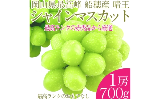  プレミアム シャインマスカット 晴王 1房 約700g 種無し  皮ごと食べる  フレッシュ  旬の美味しさ【2025年9月上旬-10月下旬 発送予定】【シャインマスカット マスカット ぶどう 葡萄 岡山県産   種無し 皮ごと食べる みずみずしい 9月～10月お届け フレッシュ 晴れの国おかやま 果物大国 贈答品 彩美菜果 岡山県 倉敷市 おすすめ 人気 】 1594852 - 岡山県倉敷市