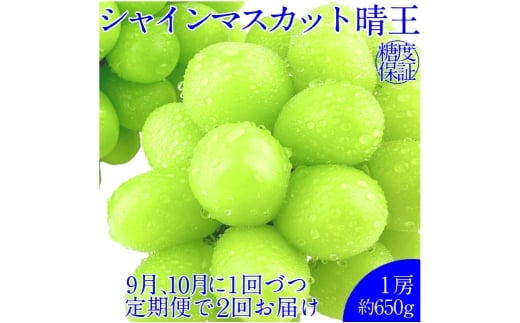 【2回定期便】シャインマスカット 晴王 １房 約650ｇ ２回 定期便 9月・10月に1回ずつ発送 岡山県産 種無し 皮ごと食べる みずみずしい 甘い フレッシュ  彩美菜果【岡山県産 種無し 皮ごと食べる みずみずしい 甘い フレッシュ 9月～10月発送 晴れの国 おかやま ぶどう 葡萄 マスカット 果物大国 彩美菜果 岡山県 倉敷市 おすすめ 人気】 1594840 - 岡山県倉敷市