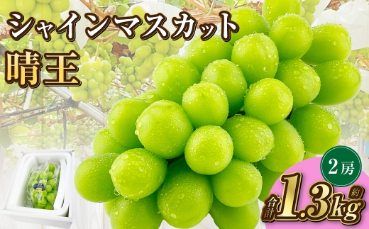 岡山県産 シャインマスカット 晴王 2房 約1.3kg【2025年9月上旬-10月下旬 発送予定】｜種無し 皮ごと食べる 旬の美味しさ フレッシュ 先行予約 ハレノフルーツ 1521042 - 岡山県倉敷市
