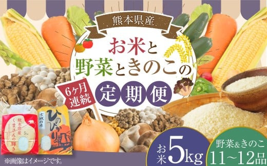 【6ヶ月連続定期便】 【令和7年度産】 熊本県(七城)産のお米と熊本県産の野菜ときのこ お米(5kg)・野菜&きのこ