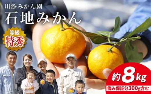 みかん 石地みかん 