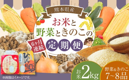 【6ヶ月連続定期便】 【令和7年度産】 熊本県(七城)産のお米と熊本県産の野菜ときのこ お米(2kg)・野菜&きのこ(7~8品)