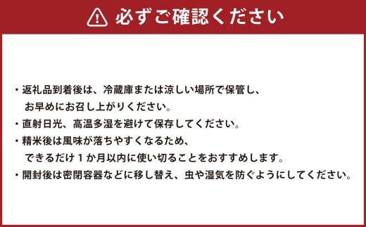 【令和7年度産】 熊本県(七城) 産のお米5kg×2(計10kg)