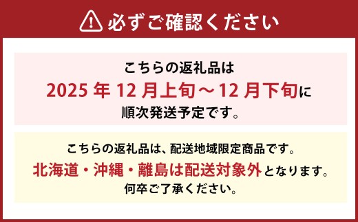 愛果 （愛媛果試28号）4L～L 約5kg（818）