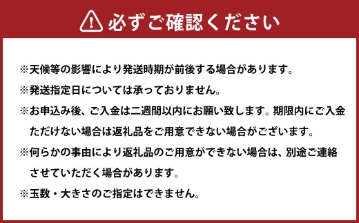 愛果 （愛媛果試28号）4L～L 約5kg（818）