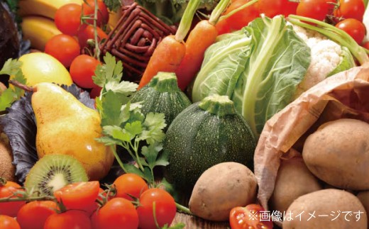 【6ヶ月連続定期便】 【令和7年度産】  熊本県（七城）産のお米と熊本県産の野菜ときのこ お米（5kg）・野菜＆きのこ