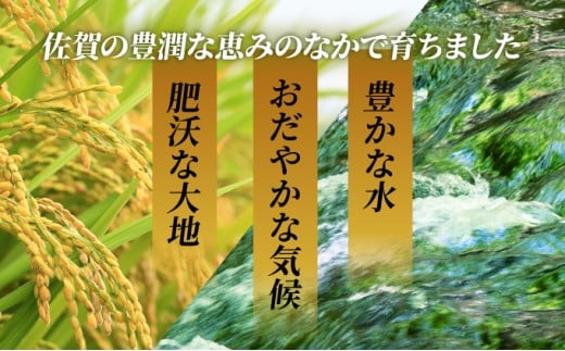 佐賀県上峰町のふるさと納税 《先行予約》《2025年11月発送》 令和7年産 さがびより（精米）10㎏