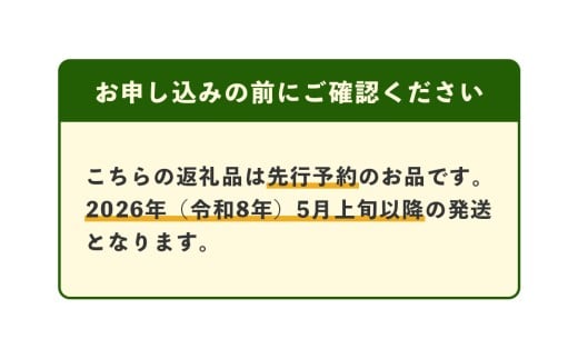 【2025年4月中旬発送開始】熊本県産 ホームランメロン 5玉 約5kg メロン フルーツ 果物