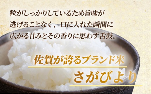 ❨即日発送!!❩ さがびより 精米済み 20kg 楽天市場】佐賀県 さがびより 米 2kg 5kg 10kg 15kg 20kg 25kg